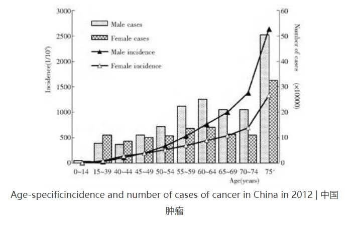 癌細胞是怎么生成的？原癌基因打敗了抑癌基因