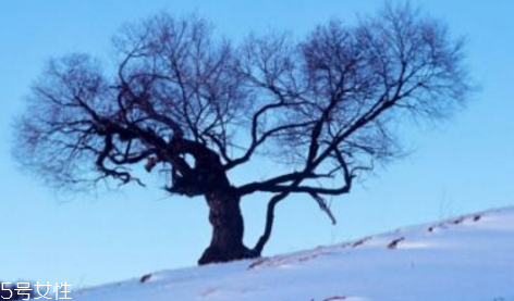 三九天最適合減肥的運(yùn)動(dòng)有哪些？推薦三種減肥運(yùn)動(dòng)