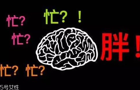 久坐不動上班族如何減肥？越努力工作的人越容易發(fā)胖