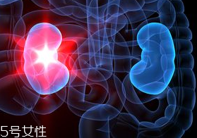 腎病為什么會(huì)發(fā)展到尿毒癥？這些因素一定要注意