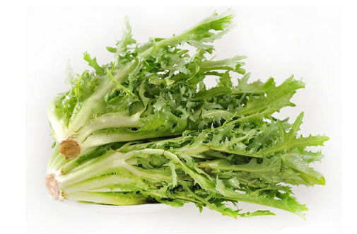 苦菊小孩能吃嗎？小孩吃苦菊促進(jìn)腦部發(fā)育