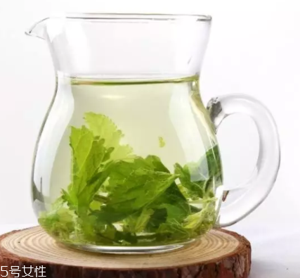 桑葉茶哪些人不能喝？過多飲用傷脾胃傷腎