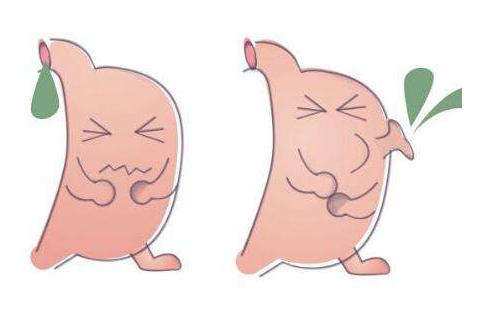 嘔酸水怎么辦？多補充堿性食物