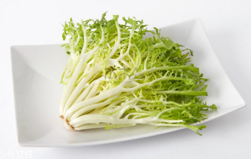 苦菊能減肥嗎？苦菊的各式做法