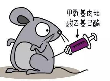 自然堂隔離霜孕婦可以用嗎？含有孕婦禁用成分