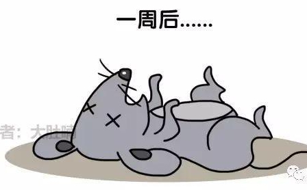 自然堂隔離霜孕婦可以用嗎？含有孕婦禁用成分