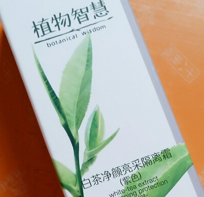 植物智慧適合什么年齡？各個年齡都可以駕馭