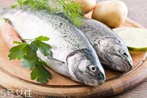 冬天吃魚有何禁忌？四大禁忌需注意