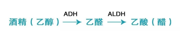 喝酒致癌的真相是什么？乙醛致癌太可怕