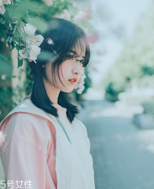 鹿胎膏會(huì)發(fā)胖嗎？鹿胎膏無(wú)致胖風(fēng)險(xiǎn)