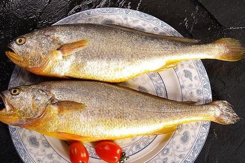 黃花魚(yú)是淡水魚(yú)還是咸水魚(yú) 海洋中長(zhǎng)大的一種魚(yú)