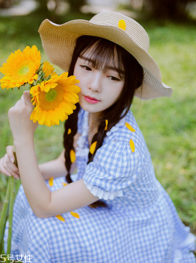 紅花逍遙片多少錢一盒？紅花逍遙片物廉價美