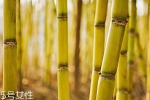 吃甘蔗臉會(huì)變大嗎？原來(lái)還有這么一說(shuō)