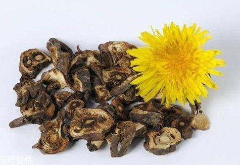 蒲公英和紅茶能一起喝嗎？混合起來(lái)功效多