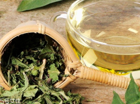 蒲公英用開水泡嗎？煮一煮效果會(huì)更好