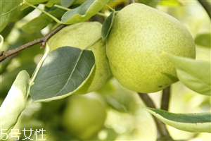 梨子煮熟吃有什么好處？熟梨的常見吃法
