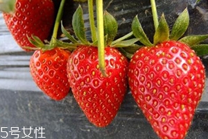 寶寶咳嗽可以吃草莓嗎？看是什么類型的咳嗽
