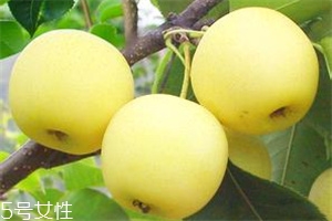 哺乳期吃梨有什么好處？梨子能做面膜