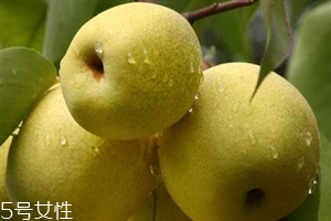 晚上吃梨子會胖嗎？梨不能和開水一起吃