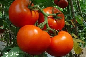 空腹不能吃什么？這4種最好不要吃