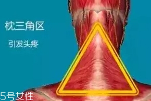 人體黃金三角區(qū)有哪些？養(yǎng)好了百病不擾