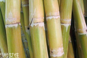 甘蔗吃多了對(duì)牙齒好嗎？有可能損傷牙齒