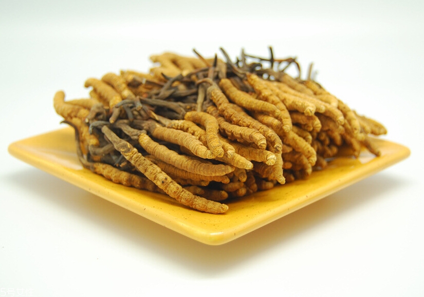 吃冬蟲夏草的好處有哪些？四大好處任你選