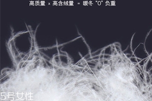lets diet羽絨褲多少錢？lets diet羽絨褲保暖又修身