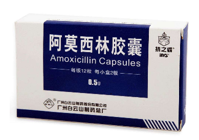 阿莫西林可以和牛奶一起吃嗎？牛奶和阿莫西林不沖突