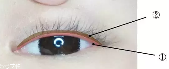 內(nèi)眼線一定要畫嗎？畫好睫毛根部