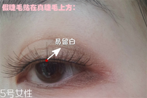 假睫毛是貼在上面還是下面？貼假睫毛的常見錯誤