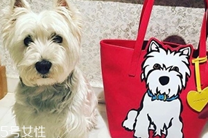 marc tetro是什么牌子？美國高性價比包包品牌