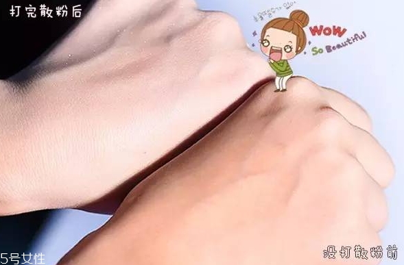 紀(jì)梵希散粉和悅詩風(fēng)吟散粉哪個(gè)好？