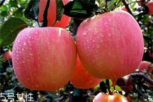 空腹吃蘋果好不好？一天最多吃幾個蘋果？