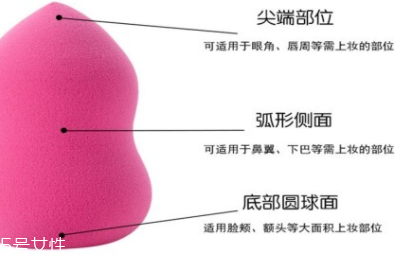 立體化妝粉撲有哪些用途？小身材大功效