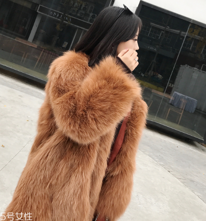 皮草和貂哪個貴？它們的價值你清楚嗎