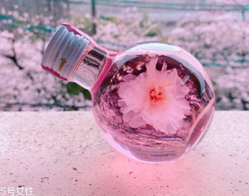 奈良金箔櫻花酒多少錢？奈良櫻花酒好喝嗎