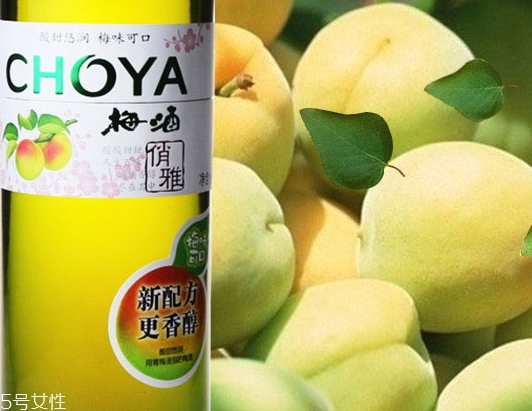 choya梅酒多少錢？多少度？