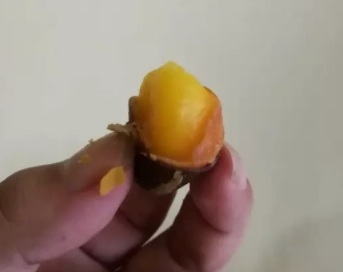 鳳眼果多少錢一斤？觀賞和口感兼具的鳳眼果