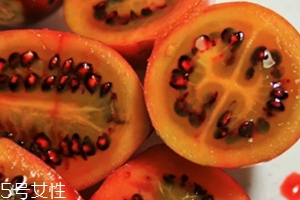 樹番茄多少錢一斤？