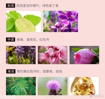 瀘州老窖香水多少錢？你身上有他的白酒味