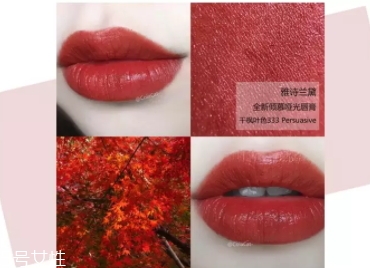 雅詩蘭黛口紅哪個色號最火？哪些最適合黃皮？
