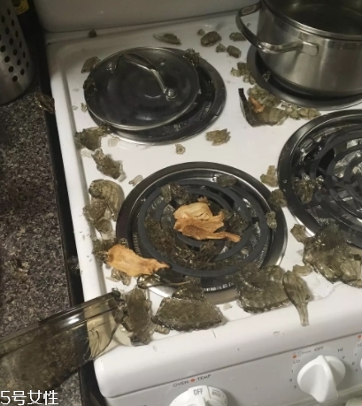 康寧鍋會爆炸嗎？請小心使用