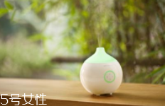 香薰什么味道好聞？佛系女孩推薦草木香