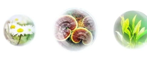 香蒲麗防曬霜怎么樣？從防曬值和成分說開去
