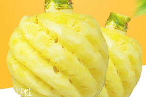 泰國迷你小菠蘿多少錢一斤？mini小菠蘿火遍泰國
