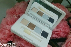 雅詩(shī)蘭黛眼影盤怎么用？