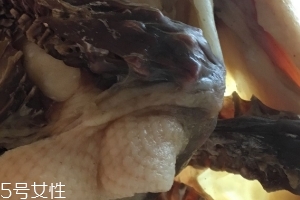 板鴨怎么做好吃？這樣做香氣撲鼻
