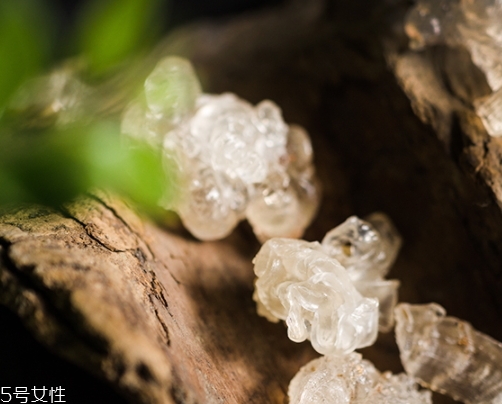 雪燕和銀耳哪個好？其實可以一起食用