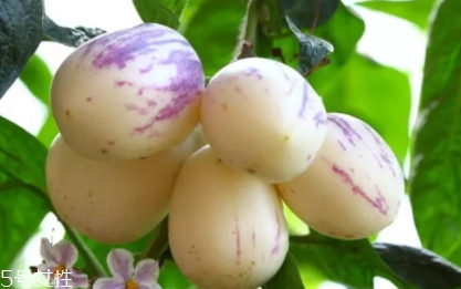 香瓜茄孕婦可以吃嗎？香瓜茄功效多